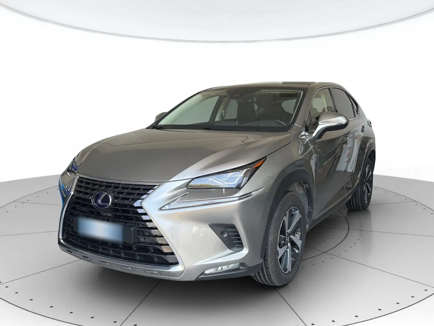 Lexus NX 300h 2.5 Luxury 4WD CVT Argento - 1
