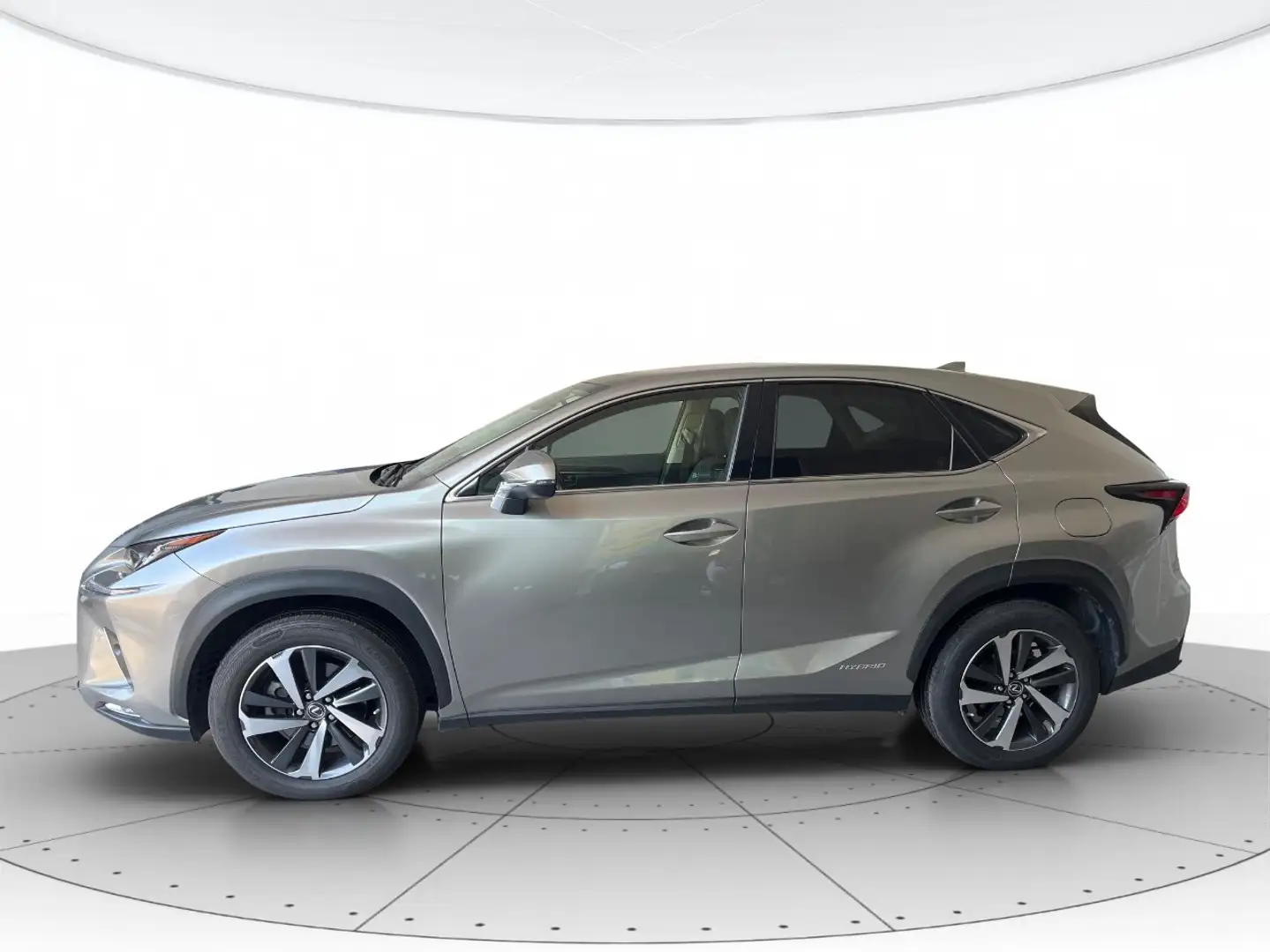 Lexus NX 300h 2.5 Luxury 4WD CVT Argento - 2