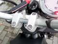 Ducati Scrambler 800 Enduro Urban QD Rizoma Carbon Verde - thumbnail 12