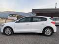 Ford Focus Trend Weiß - thumbnail 7