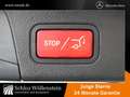 Mercedes-Benz GLA 200 Progressive/LED/PanoD/BusinessP/Totw/Cam Weiß - thumbnail 23