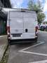 Opel Movano 2.2 D L2H2 - thumbnail 4