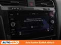 Volkswagen Golf 1.6 TDI Rabbit BlueMotion Tech Schwarz - thumbnail 24