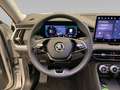 Skoda Kodiaq Selection 1.5 TSI iV DSG *AHK*MATRIX*NAV* Silber - thumbnail 13