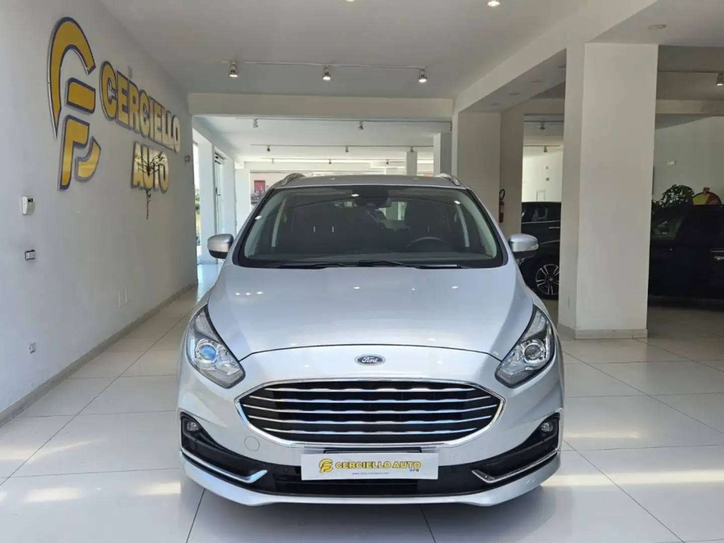 Ford S-Max 2.0 EcoBlue 150CV Start&Stop Aut.7p. Titanium Busi Grigio - 1