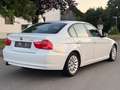 BMW 318 318i SHADOW LINE | RENTNERFAHRZEUG Bianco - thumbnail 5