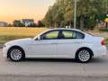 BMW 318 318i SHADOW LINE | RENTNERFAHRZEUG Bianco - thumbnail 7