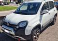 Fiat Panda Panda III 2021 4x4 Cross 0.9 t.air t.Cross 4x4 s Bianco - thumbnail 2