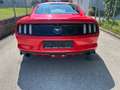 Ford Mustang Mustang 2,3 EcoBoost (EU-ModellI) Rot - thumbnail 3