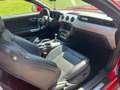 Ford Mustang Mustang 2,3 EcoBoost (EU-ModellI) Rot - thumbnail 6