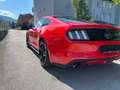 Ford Mustang Mustang 2,3 EcoBoost (EU-ModellI) Rot - thumbnail 4