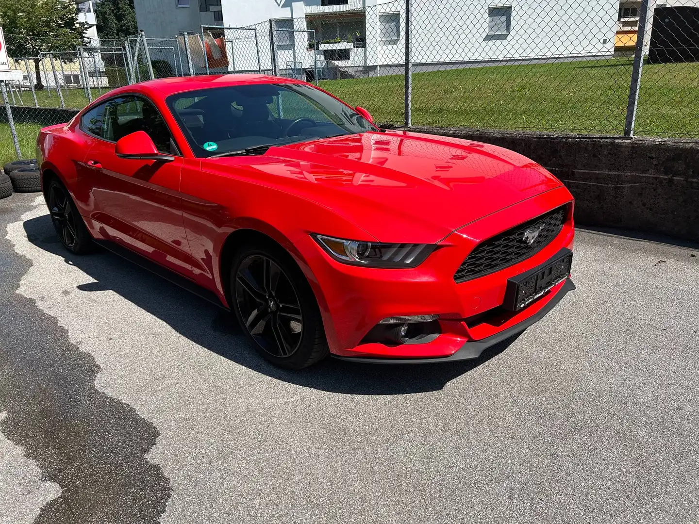 Ford Mustang Mustang 2,3 EcoBoost (EU-ModellI) Rot - 2