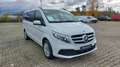 Mercedes-Benz V 250 V 250 d 4MATIC ED. Lang PANO LED BURMESTER NAVI Weiß - thumbnail 2