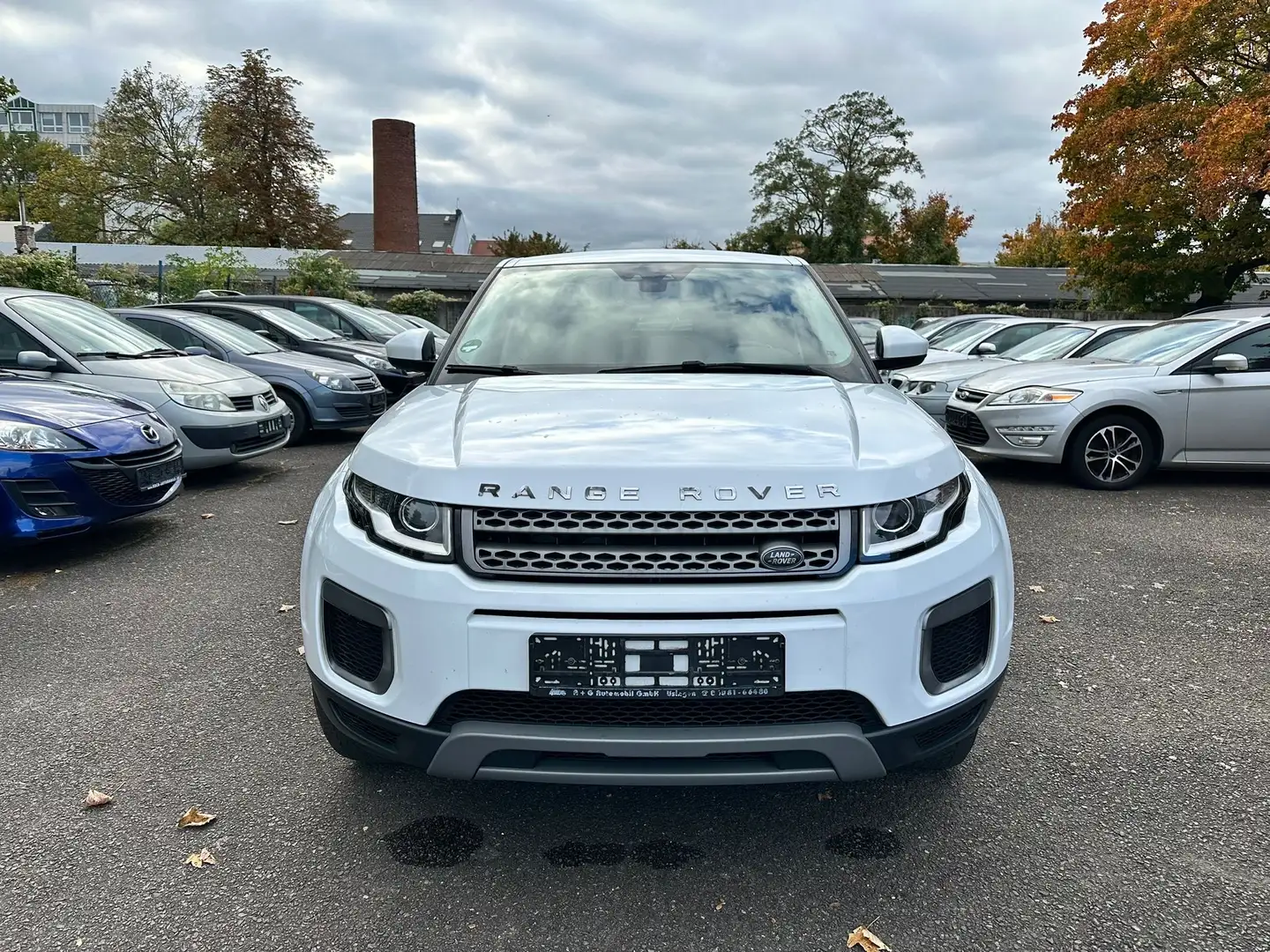 Land Rover Range Rover Evoque Pure Weiß - 2