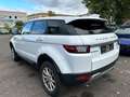 Land Rover Range Rover Evoque Pure Weiß - thumbnail 7