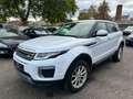 Land Rover Range Rover Evoque Pure Weiß - thumbnail 3