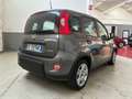 Fiat Panda 1.0 hybrid Easy Connect s&s 70cv - thumbnail 7