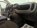 Fiat Panda 1.0 hybrid Easy Connect s&s 70cv - thumbnail 11