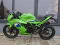Kawasaki Ninja 125 - 2026 - Neu - thumbnail 6