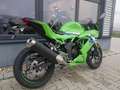 Kawasaki Ninja 125 - 2026 - Neu - thumbnail 12
