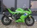 Kawasaki Ninja 125 - 2026 - Neu - thumbnail 3