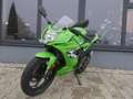 Kawasaki Ninja 125 - 2026 - Neu - thumbnail 15