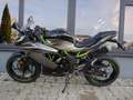 Kawasaki Ninja 125 - 2026 - Neu - thumbnail 4