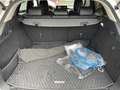 Mazda CX-60 Homura PHEV AWD mit Leder, Panorama-GSD, Matrix-LE Oro - thumbnail 9