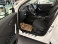 Audi Q2 30TDI S-tronic *Matrix-LED*NAVI*ACC*Sitzheizung... Weiß - thumbnail 12