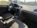Volkswagen Golf Golf VII 2017 5p5p 1.6 tdi Business 115cv dsg - thumbnail 8