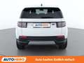 Land Rover Discovery Sport P300e Hybrid AWD Aut. *LED*SPUR*CAM*PANO* Weiß - thumbnail 5