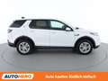 Land Rover Discovery Sport P300e Hybrid AWD Aut. *LED*SPUR*CAM*PANO* Weiß - thumbnail 7