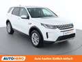 Land Rover Discovery Sport P300e Hybrid AWD Aut. *LED*SPUR*CAM*PANO* Weiß - thumbnail 8