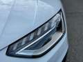 Audi A4 Avant 35 TFSI 150cv - S-Line Competition - Pano Bianco - thumbnail 13
