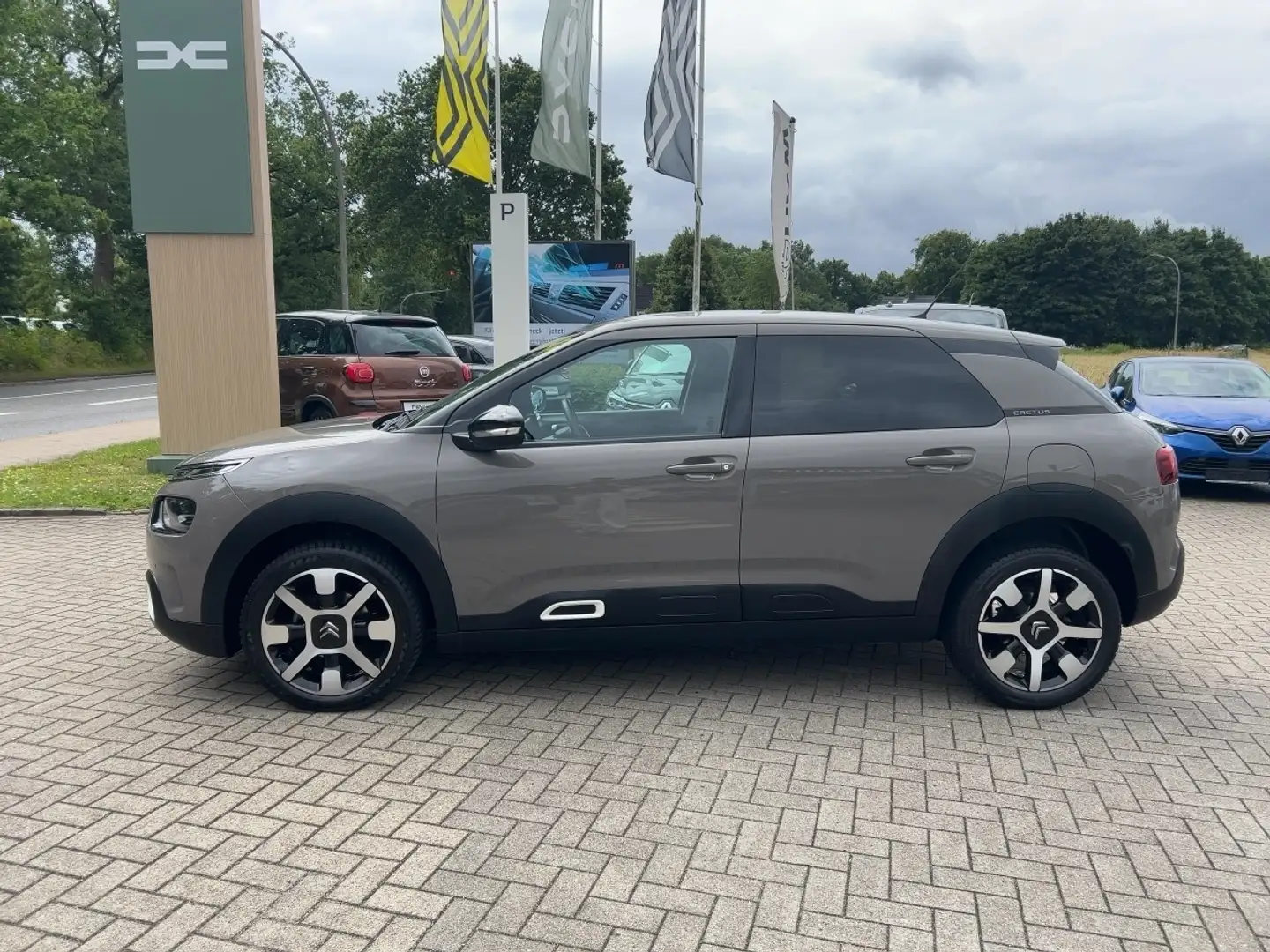 Citroen C4 Cactus 1.2 PureTech 110  *Autom,GJR,SHZ* Braun - 2