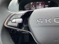 Skoda Karoq Selection AHK+KAMERA+EL. HECKKL.+SHZ+ACC+KESSY+... Grau - thumbnail 21