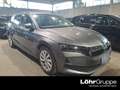 Skoda Octavia Combi 2.0 TDI DSG Selection Navi Grau - thumbnail 1
