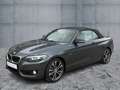 BMW 220 d Cabrio SPORT LED+NAVI+SHZ+2xPDC+GRA+DAB+17" Gri - thumbnail 2