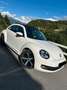 Volkswagen Beetle Bianco - thumbnail 6