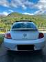 Volkswagen Beetle Bianco - thumbnail 8