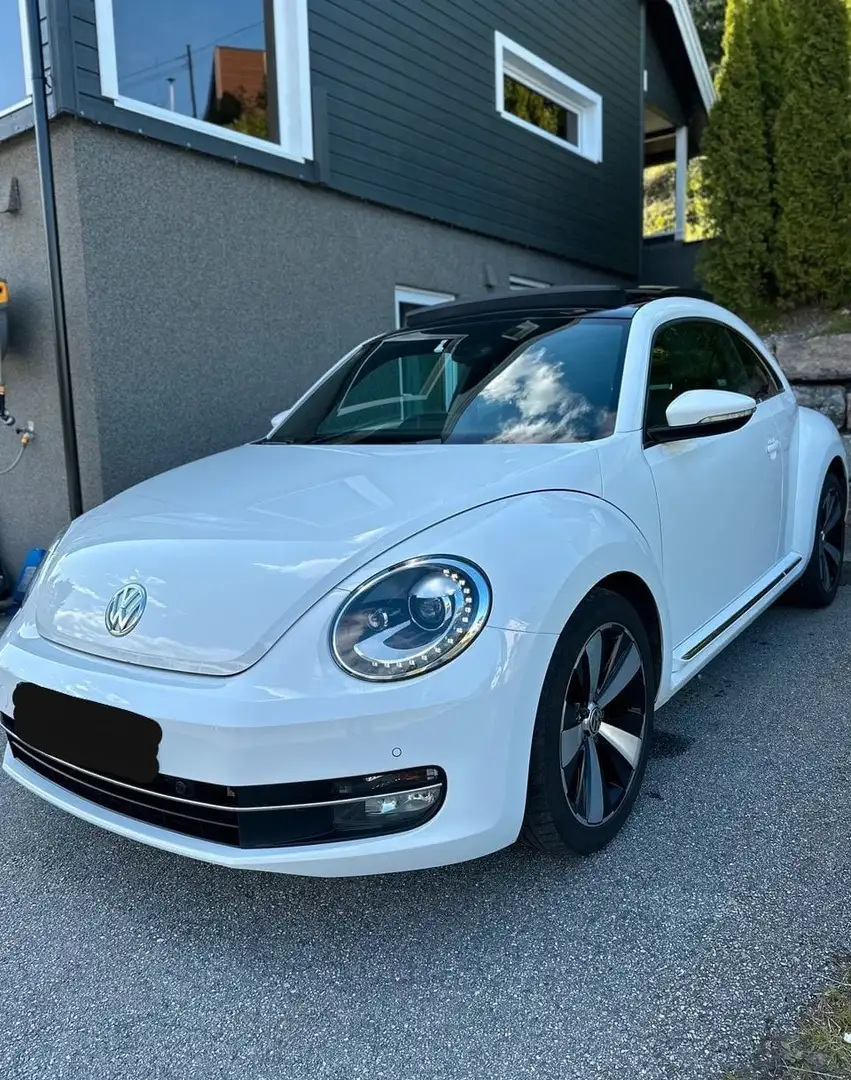Volkswagen Beetle Bianco - 1