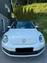 Volkswagen Beetle Bianco - thumbnail 5