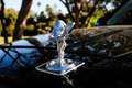 Rolls-Royce Cullinan Verde - thumbnail 25