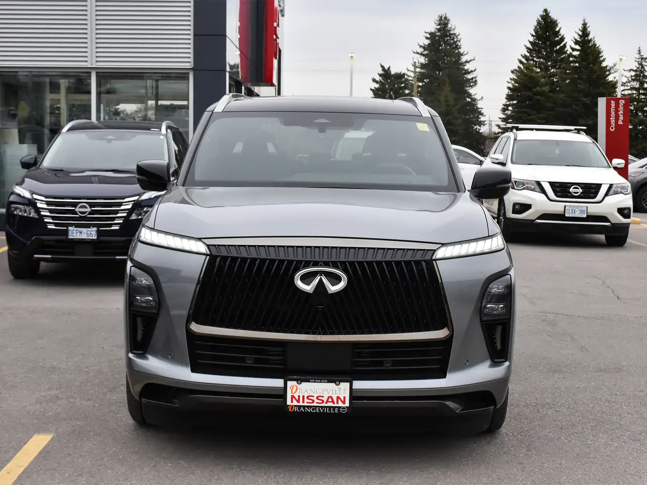 Infiniti QX80 снимка Infiniti QX80