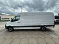 Mercedes-Benz Sprinter 317 MAXI HOCH LANG TRANSPORTER MINIVAN Blanc - thumbnail 1