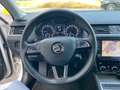 Skoda Octavia 1.6 TDI SCR 115 CV Wagon Executive Bianco - thumbnail 8
