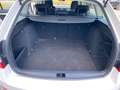 Skoda Octavia 1.6 TDI SCR 115 CV Wagon Executive Bianco - thumbnail 14