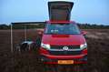 Volkswagen T6.1 California Aufstelldach Standheizung Markis Rouge - thumbnail 26