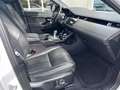 Land Rover Range Rover Evoque 1.5 P300e 309ch R-Dynamic HSE AWD BVA 11cv Weiß - thumbnail 5