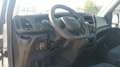 Iveco Daily 35C14 BTor 2.3 HPT PL Cassone con Gru Bianco - thumbnail 13